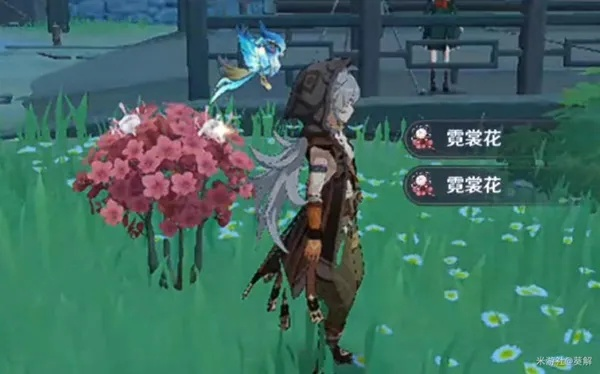 《原神》霓裳花位置及获取方法 3.4霓裳花收集路线