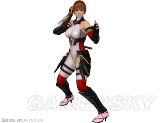 死或生OL角色强度2025终极排名，霞与隼龙连招机制全解析