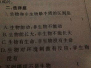 内功修炼的本质是资源博弈而非简单堆叠