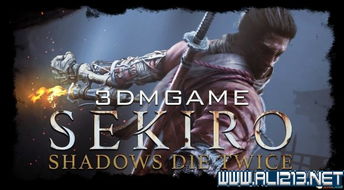 《只狼》新手实用技巧24则 只狼战斗及操作技巧