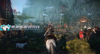 巫师2攻略，为什么90%玩家错过了雷索的真结局？2025选择路线全复盘