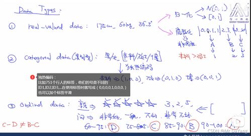 寻访类型全景扫描，你以为的随机全是算法