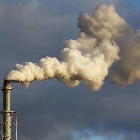 2024票房破300亿背后，这5大类型片收割90%票房？内行人揭秘