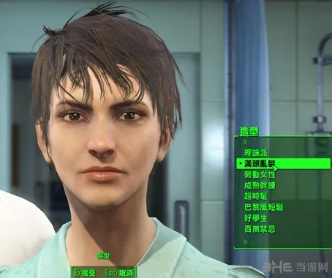 辐射4明星脸捏人指南，高度还原角色技巧解析