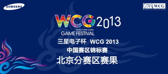 一、2013 WCG英雄联盟视频资源现状与抢救性修复指南