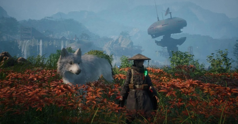 轮回之兽团队规模小？Game Freak再回应开发内幕