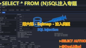 白虎之力怎么配装才最强？2025最新版实战数据揭秘与流派深度解析