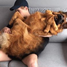 被低估的六周年宠物真实定位