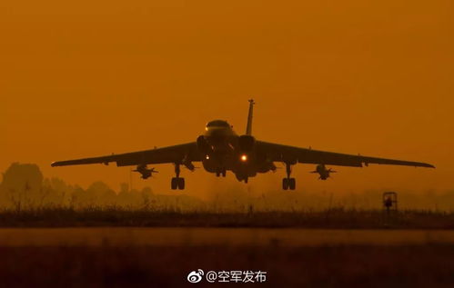 海钓总空军？2025实战派私藏的4个爆护技巧全公开