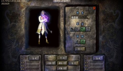 2025年疯狂传奇最新避坑指南，超变版VS微变版核心数据揭秘