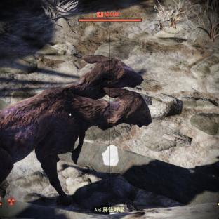 废土同行，与辐射76尸鬼共闯的生存访谈