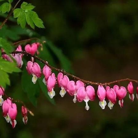 2025奇迹MU加点革命，从菜鸟到战神的属性点重构法则