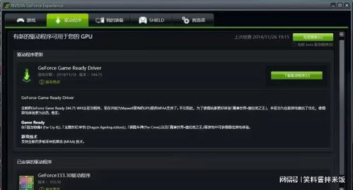 NBA 2K9免CD补丁黑屏闪退？2025年实测有效的版本匹配与兼容性修复方案