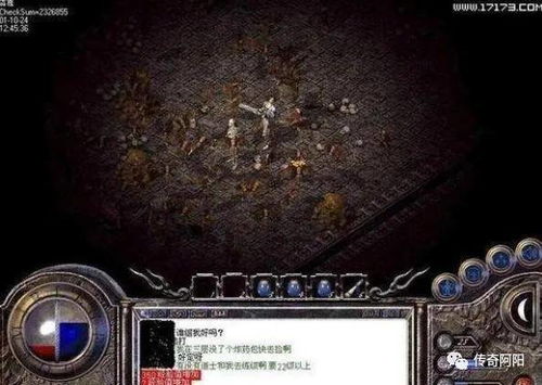 一、白金典藏区的底层逻辑，动态平衡系统