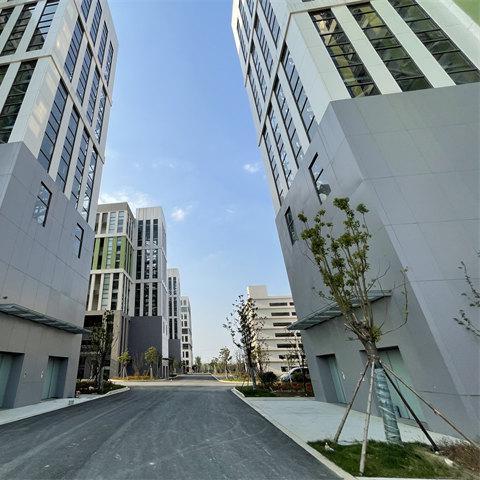 DNF2025史诗改版实测，这4个职业强度逆袭，装备转型路线全解析