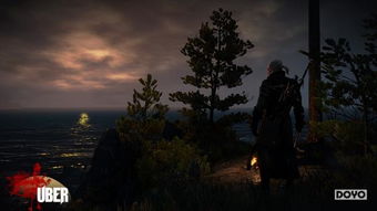 巫师3电影级画面Mod，沉浸式体验终极指南