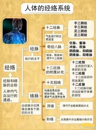 2025九阴真经经脉系统终极指南，十二正经与奇经八脉修炼顺序全解析