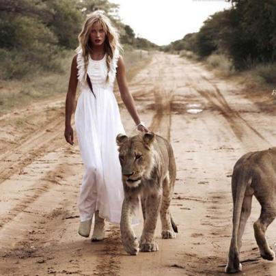 好莱坞动物升级攻略，快速提升时间揭秘