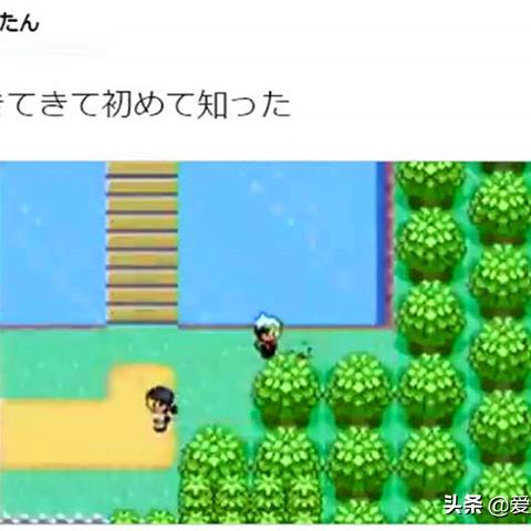 宝可梦 火红·叶绿HOME兼容性确认，经典重温无缝传承