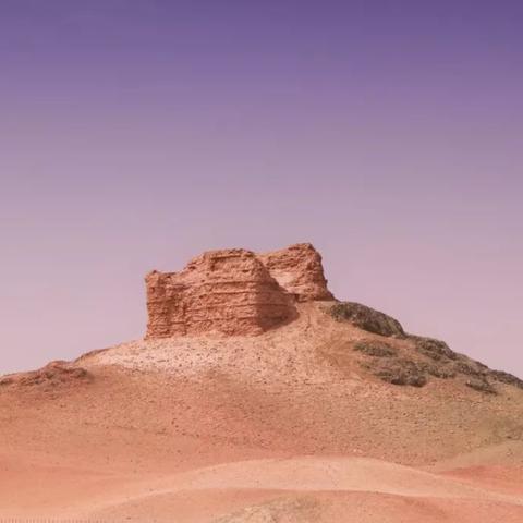 狐狸国度游戏类型全景扫描