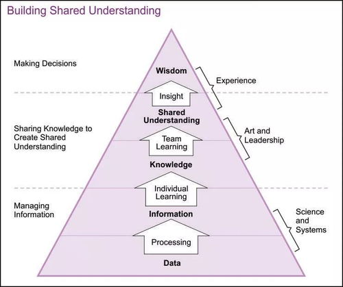 穿透系数不是纸面数据，木质掩体的致命谎言