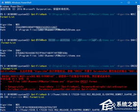 Windows PowerShell校验命令