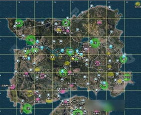 原神3.1前瞻直播隐藏信息全拆解，赛诺强度实测+沙漠地图100%探索路线