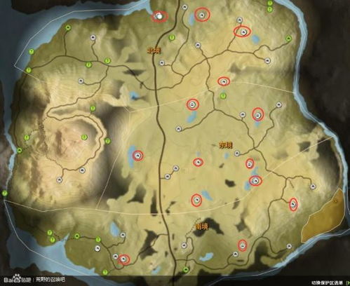 荒野猎人双剑矿石攻略，高效路线与素材样式解析