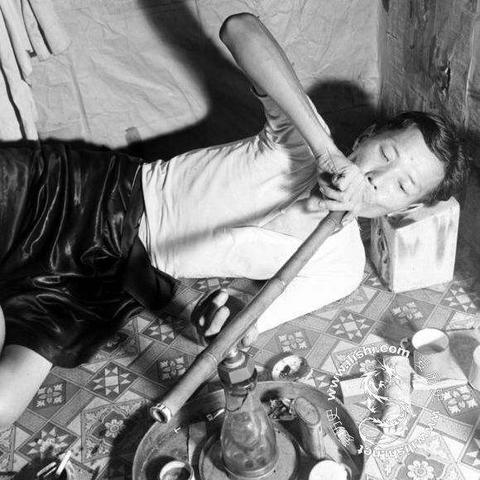 荒野猎人，麻醉球材料速刷攻略，轻松捕获怪物！