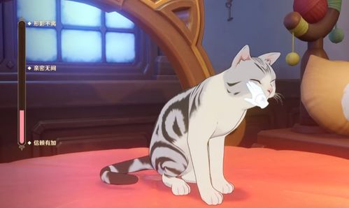 守望玩家爱猫大会，赛博猫咪改造热潮