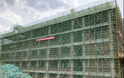 PE李浩宇类型建筑2025最新解析，从地基到封顶的7个实战技巧