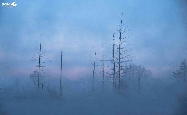 迷雾类型三维解析，能见度/仇恨/刷新