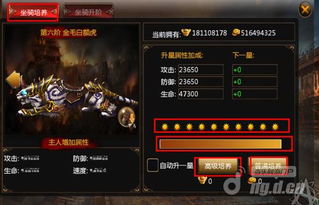 乱武天下官网隐藏功能揭秘，3个被90%玩家忽略的战力飙升通道