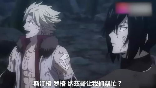 剑咬之虎全员战力解密，2025年最新双龙数据曝光