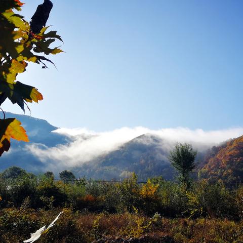 红叶羁绊全解析，2025年最新信赖速刷攻略与隐藏剧情解锁