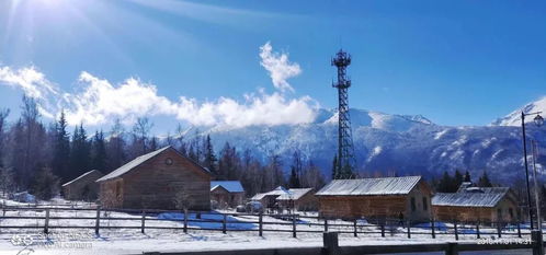 雪居之地神秘雪域探秘，奇幻之旅全解析