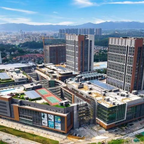 微笑第一视角2025终极指南，从设备调试到粉丝转化的9个隐藏技巧