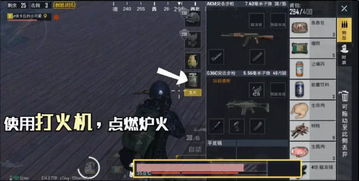 2025年游戏私服存活率不足3%？揭秘五大类型与隐形生存法则