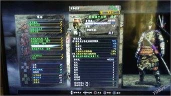 仁王3二周目，国外玩家一击秒杀最终Boss实录