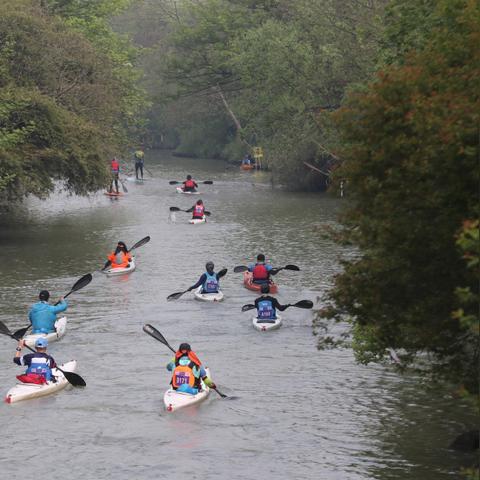 完美国际3月4日二十周年庆典开启 水木年华邀你共赴花朝