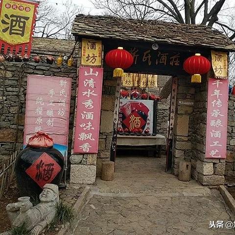 拍拍部落官网下载总失败？2025年6月隐藏通道实测有效