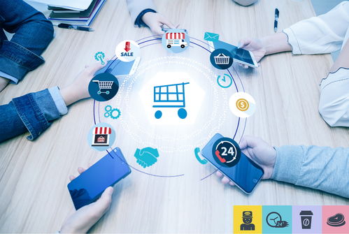 2025魔法娃娃入门全攻略，从选娃到社群融入的完整路径与避坑实战