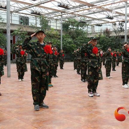 一、娃娃任务的真实分类，别被表面标签骗了