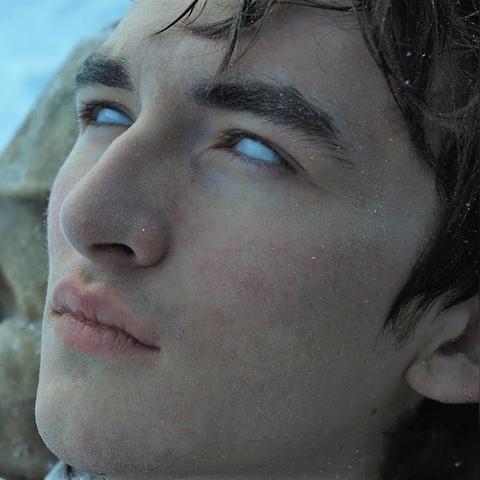 《森林之子基地建设秘籍：高效房屋搭建攻略》