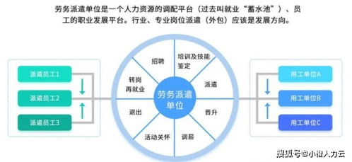 橙斧的本质定位与版本价值重估