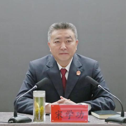 功夫世界新篇章，华夏僵尸席卷植物大战僵尸2