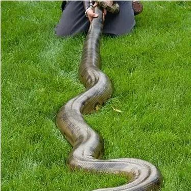 侠盗猎车5PC版亚马逊独家首发，预约开启！