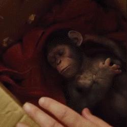 恐怖黎明最终资料片定档2026，十周年重磅献礼