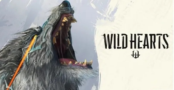 狂野之心实战攻略，战斗技巧全收录与深度解析