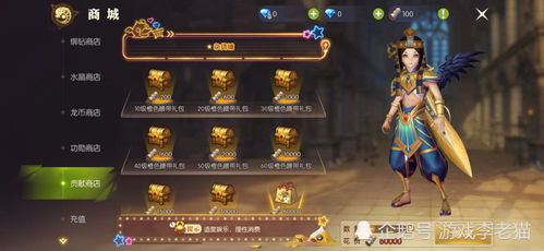 龙之谷团购仓库类型怎么选？2025年最新数据告诉你永久与限时的核心差异